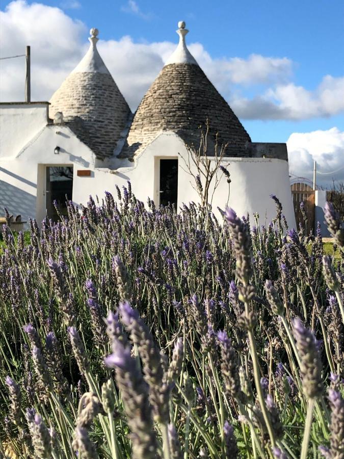 Вілла Trullo Trilli Puglia Мартіна-Франка Екстер'єр фото