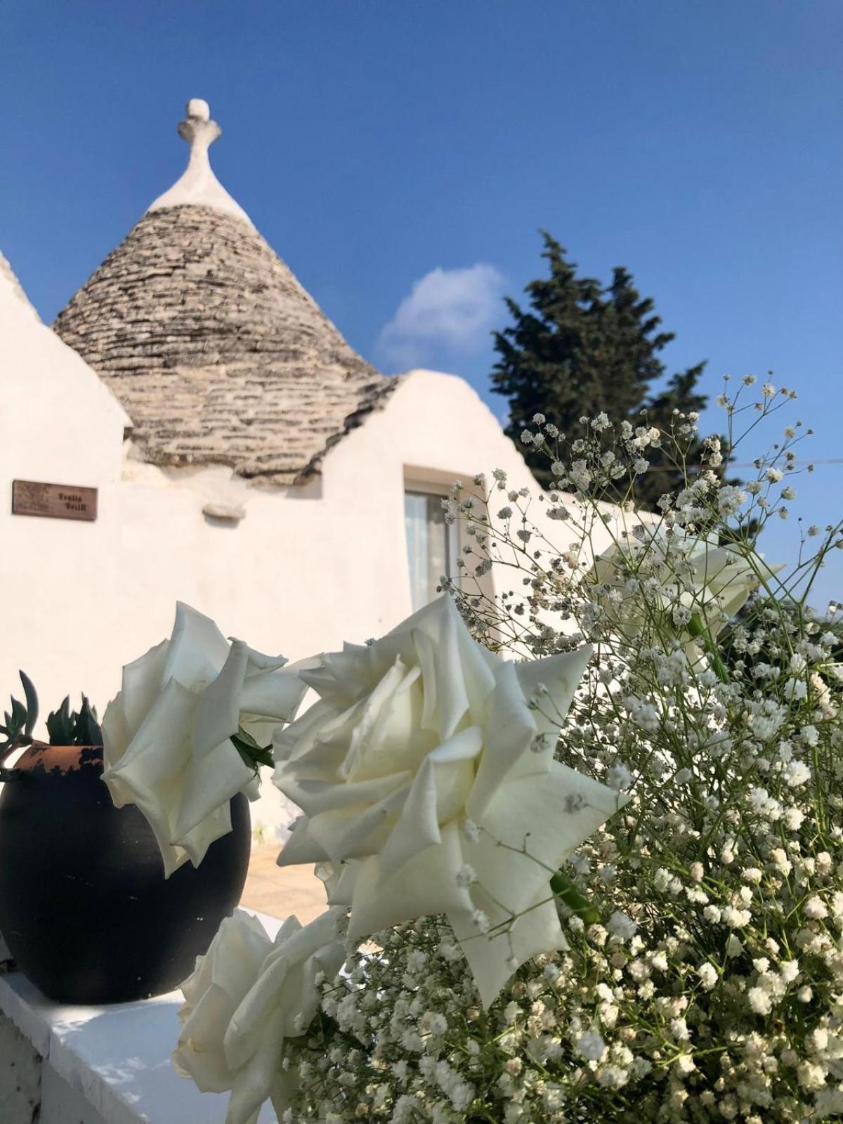 Вілла Trullo Trilli Puglia Мартіна-Франка Екстер'єр фото