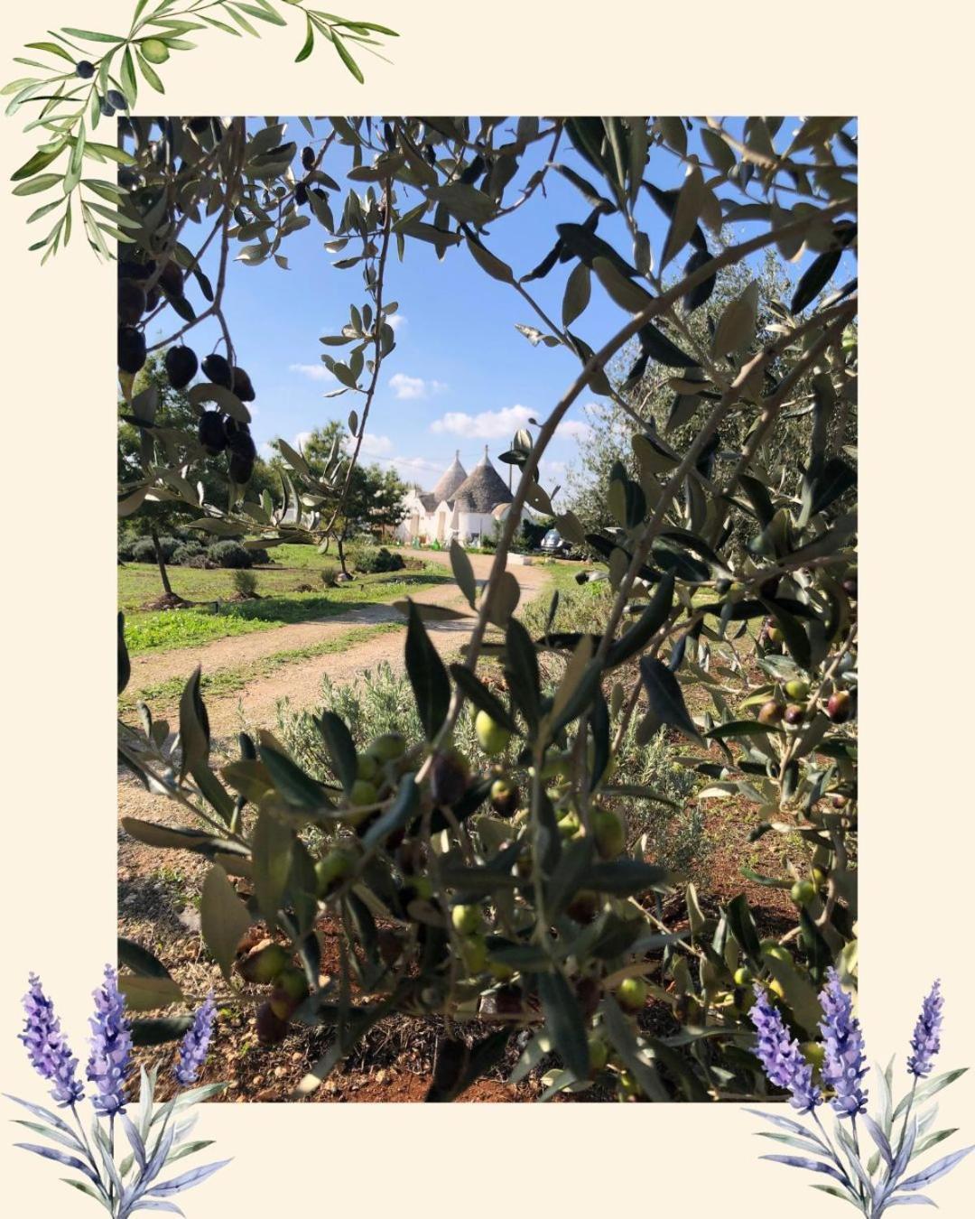 Вілла Trullo Trilli Puglia Мартіна-Франка Екстер'єр фото